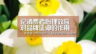 论消费者心理效应对品牌延伸的作用-开元棋牌(图2) 开元棋牌官网